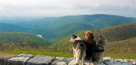 Spearhead Trails - Mountain View Trail System