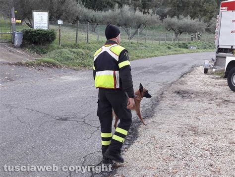 Scomparso Al Lago Di Bolsena Ricerche Senza Sosta Tusciaweb Eu