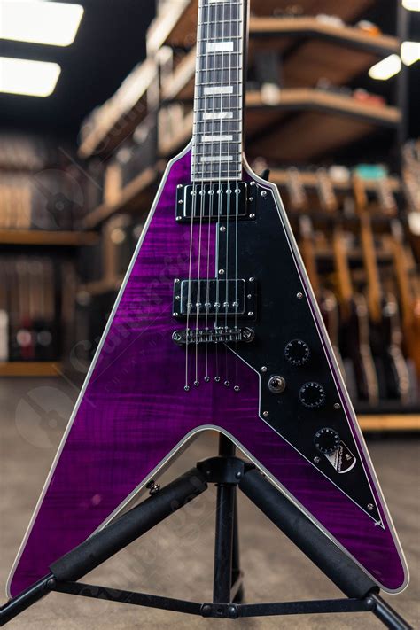 elektrogitara schecter   custom trans purple  rostove  krasnodare
