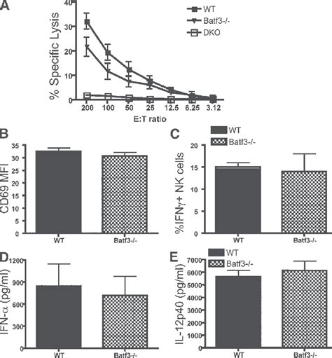 Poly I C Induced Nk Cell Activation Is Independent Of Cd Dcs Wt