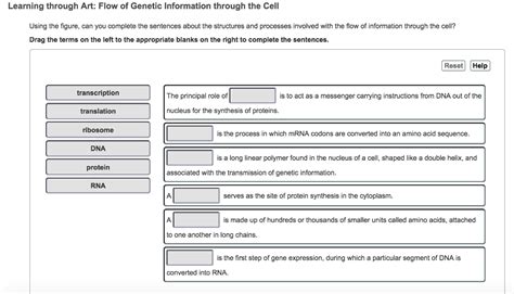 Solved Learning Through Art Flow Of Genetic Information