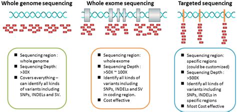 Human Whole Genome Sequencing