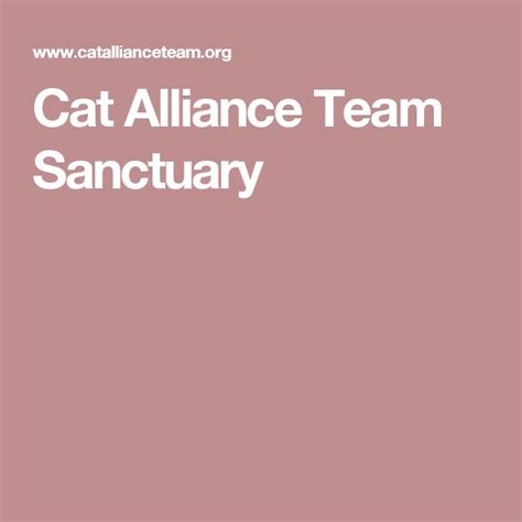 Cat Alliance Team Sanctuary Cats Alliance Sanctuary