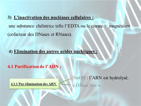 Extraction Et Purification Des Acides Nucl Iques