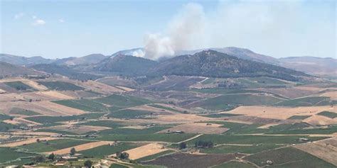 Incendio Divampa A Calatafimi Squadre Della Forestale Domano Il Rogo