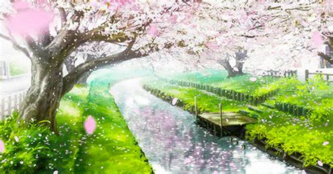 Anime Sakura Tree Wallpaper Gif For Pc - IMAGESEE