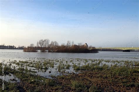 hochwasser am rhein Stock Photo | Adobe Stock