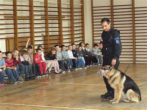 Ruszył nabór do pracy w policji w szranki staną najlepsze psy