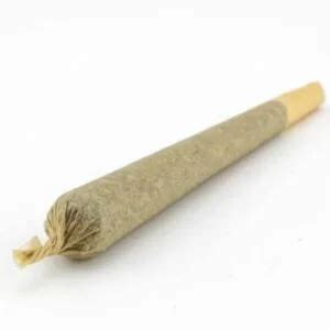 D Couvrez La R Volution Du Cannabis Avec Notre Pr Roll H Cbd Cbd