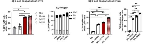 Gp96 Ig And Ox40l Fc Induce B Cells Responses C57bl6 Mice Were