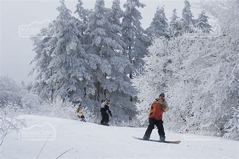 Ski Tows, Lifts in Vitosha Mountain in Bulgaria Become Private Property