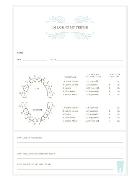 Dental Chart Note Templates At Raymond Libby Blog