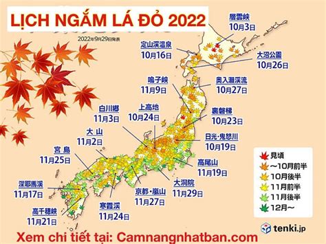 Cập Nhật Lịch Ngắm Lá đỏ đẹp ở Nhật Bản Năm 2022 Du Lịch Nhật Bản