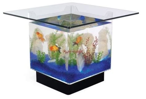 Fish Tank Coffee Table Fun! Reviews, Prices, Tips & More: Aquarium ...