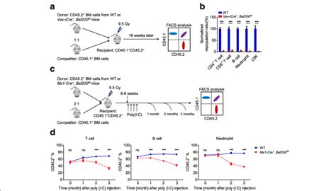 Baf200 Deficient BM HSCs Have A Significantly Impaired Long Term