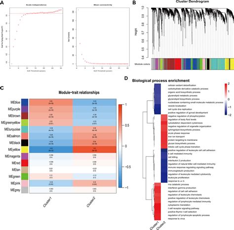 Frontiers Comprehensive Analysis Of Senescence Associated Genes In