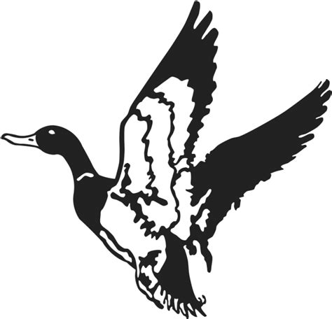 Duck Mallard Decal Waterfowl Hunting Flying Duck Clip Art Png