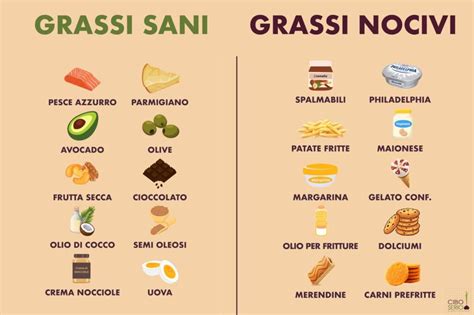 Grassi Buoni E Grassi Nocivi Come Orientarsi A Tavola L Indipendente