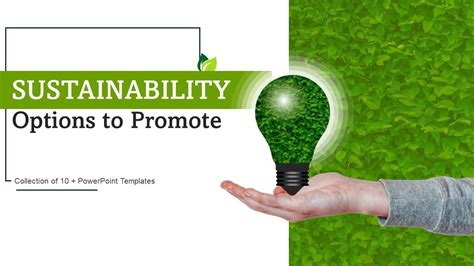 Sustainability Options To Promote Powerpoint Ppt Template Bundles PPT