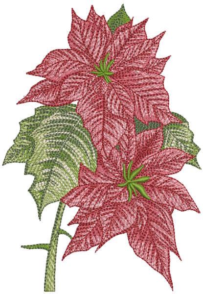 Poinsettia Flower Embroidery Design