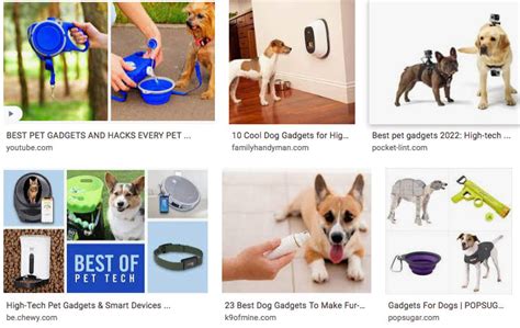 ᐅ Five new and useful trends for pet owners