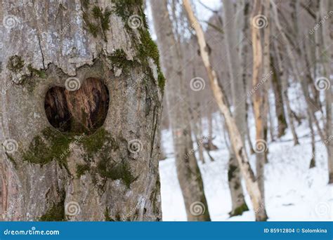 Heart on wood stock photo. Image of brown, closeup, abstract - 85912804