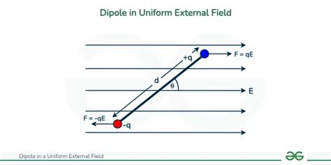 Dipole In A Uniform External Field Geeksforgeeks