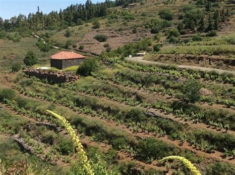 Agricultores Y Ganaderos Reciben 4 5 Millones En Ayudas Del Programa De