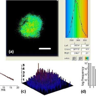 Using A Pulsed Laser The Arrival Times Of Photons After An Excitation