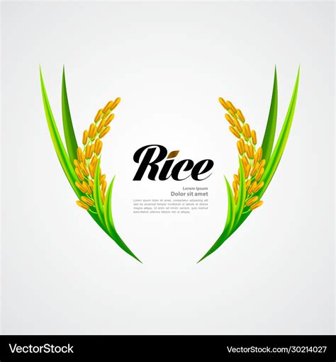 Premium Rice Great Quality Royalty Free Vector Image