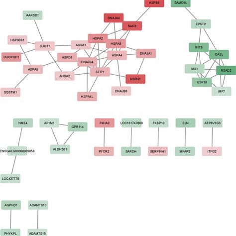 Protein−protein Interaction Network Of Differentially Expressed Genes