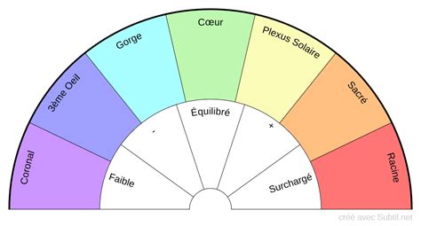 Subtil Biomètre 11 chakras