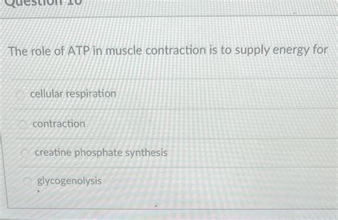 Solved The role of ATP in muscle contraction is to supply | Chegg.com