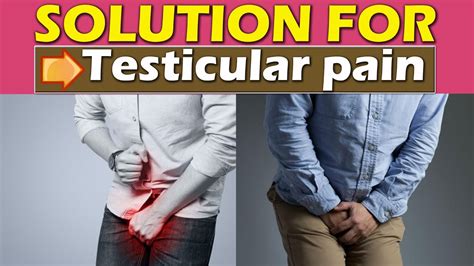 Best Treatment Of Swelling In Testicles Testis Pain Treatment At Home