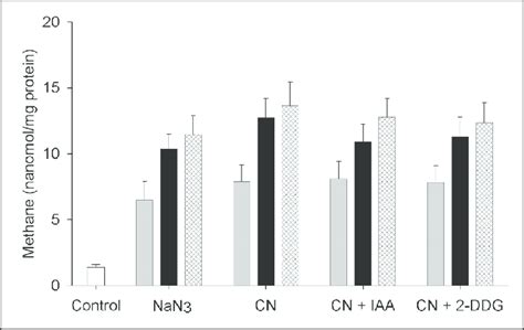 Effects of site-specific inhibitors of the mitochondrial electron ...