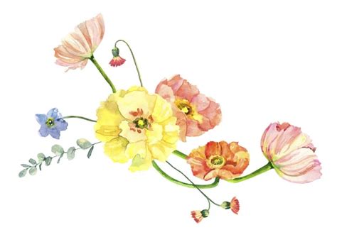 Hand Painted Watercolor Floral Bouquet Iceland Poppies Eucalyptus And