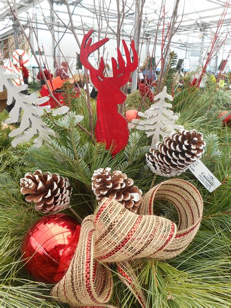 Christmas At Canadale Christmas Wreaths Garden Center Holiday Decor