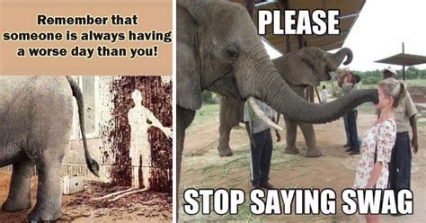 Your Argument Is Irr Elephant Entertaining Elephant Memes Because