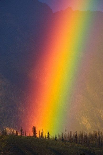Rainbow Clipart Vector Art, Icons, and Graphics for Free Download
