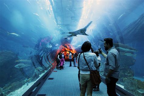 Dubai Aquarium | Smithsonian Photo Contest | Smithsonian Magazine