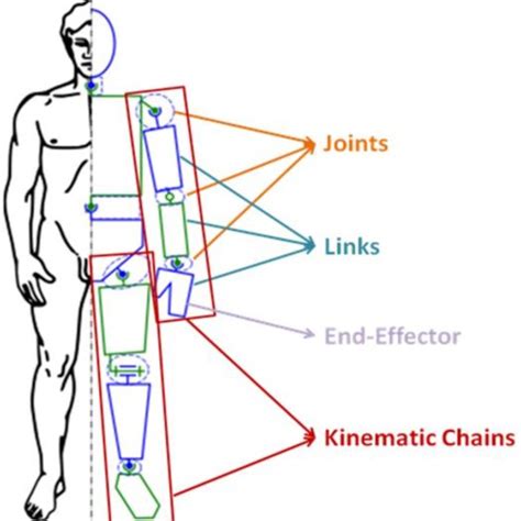 1.2 Kinematic Chain [14] | Download Scientific Diagram