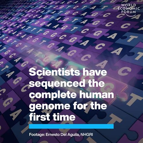 First Complete Human Genome Sequenced By Scientists World Economic Forum