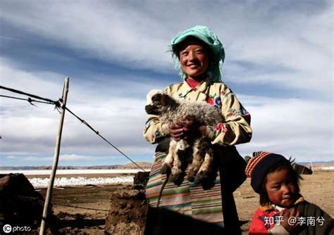 零下40度荒野深处，中国最后一批住在羊粪堆里的游牧民族 知乎