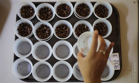 China Is Suffering From A Counterfeit Coffee Crisis Coffee Intelligence