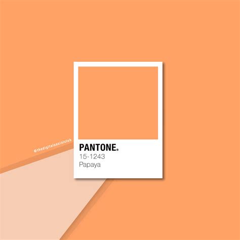 Pantone Orange by megansmith954 on DeviantArt