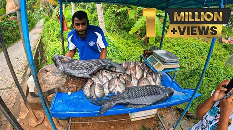 Amazing Fish Cutting Skills Biggest Catla Fish Cutting In Sri Lanka