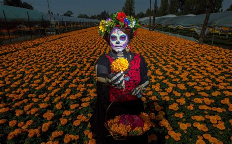 Cuáles son los mejores destinos en México para conmemorar el Día de