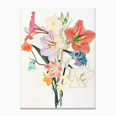 Amaryllis 3 Collage Flower Bouquet Canvas Print By Botanic Studio Fy