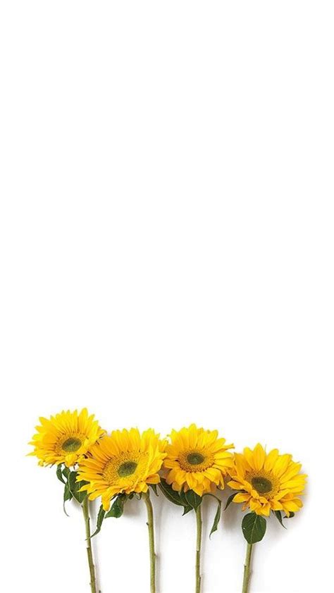 Download Sunflower Wallpaper Minimalist | Cikimm.com Minimal Desktop ...