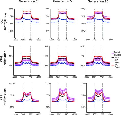 Dna Methylation Of Long Terminal Repeat Ltr Tes In Resynthesised